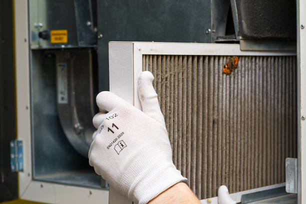 Best Affordable Duct Cleaning Services  in Plainedge, NY