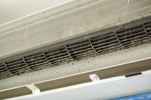 Best Professional Duct Cleaning Services  in Plainedge, NY